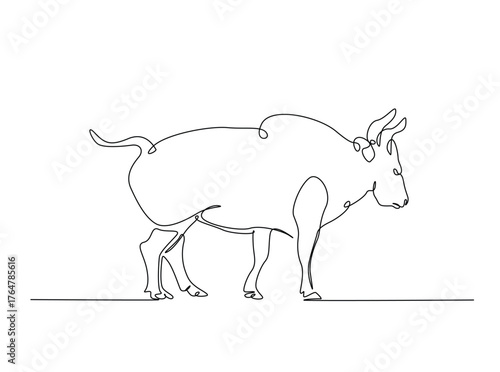Aggressive bull in single outline illustration. Continuous line art drawing of angry bull.