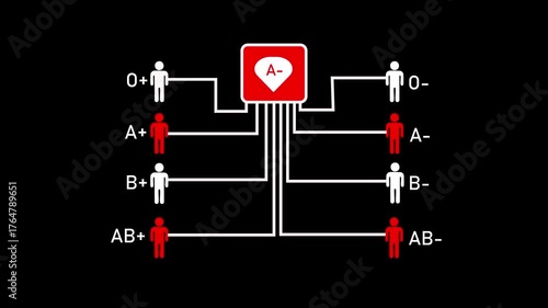 Animation of blood donation with all possible blood group combinations.The concept of donation blood by looking at the blood group.man icon with blood group concept.