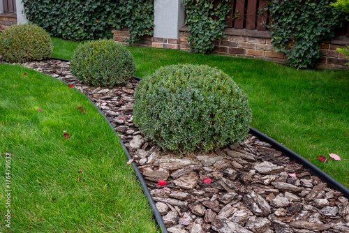Decorative garden border with trimmed bushes, bark mulch, and green lawn in modern residential yard. Use for landscaping, garden planning, urban design, landscape architecture concepts. Real photo