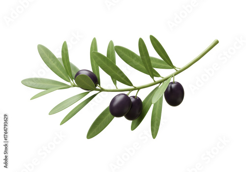 Tableau sur toile Isolated olive branch with ripe black olives and fresh green leaves healthy Medi