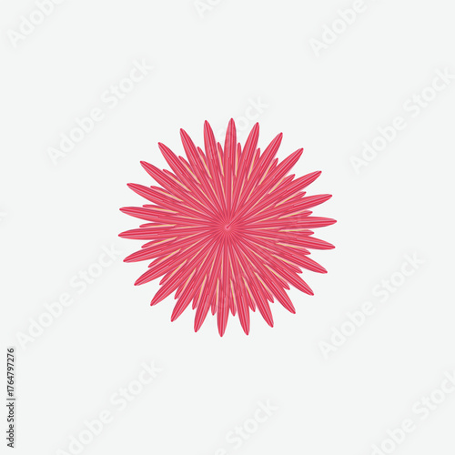  Pink Radial Flower Geometric Pattern
