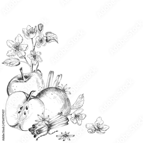 Two ink drawn apples, halved apple, cinnamon sticks and anise, blooming twig with leaves and blossoms. Black and white clipart. Hand drawn illustration for food-themed design, calendars, posters