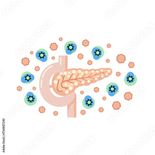 Detailed illustration of the pancreas and surrounding digestive system elements, ideal for medical education and science communication.