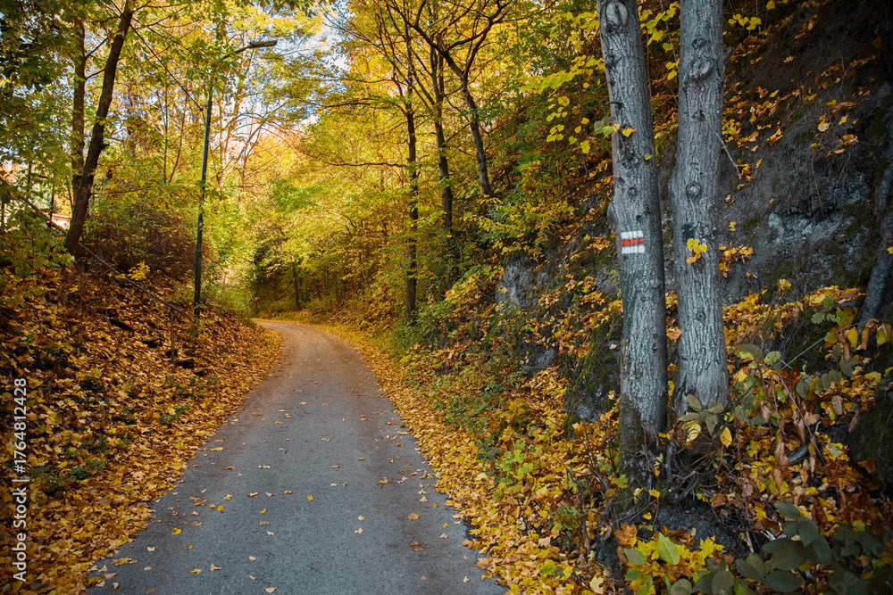 Obraz premium asphalt road through autumn landscape and tourist sign