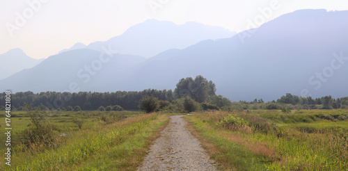 Sleepy river dykes in a foggy morning