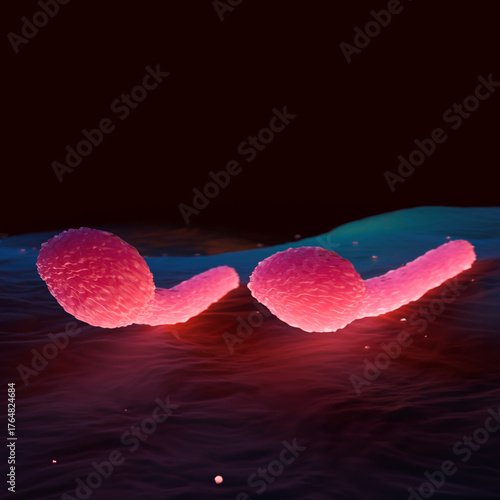 Clostridium Tetani Bacterium Microscopic 3D Render