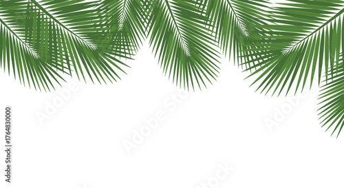 Vibrant green palm fronds frame a clean white space perfect for summer vacation designs and tropical branding.