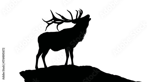 Majestic Stag Deer Silhouette Bugling Roaring on Rocky Outcrop with Large Antlers, Wildlife Design Element