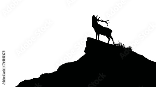 Majestic red deer stag silhouette roaring on a rocky cliff against a white background, wild animal in nature, power and strength.