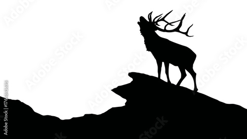 Majestic wild stag or elk silhouette bugling on a rugged mountain peak. Powerful deer with large antlers roaring in nature.