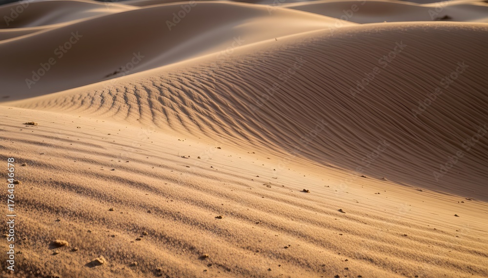 Naklejka premium Sand Dunes Forming Gentle Waves Under Soft Sunlight in a Serene Desert Landscape