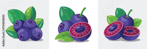 Fresh blueberry illustrations with whole and halved fruits in vibrant purple vector set for food design