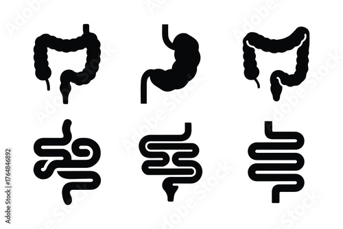 Human Digestive System Icon Set.