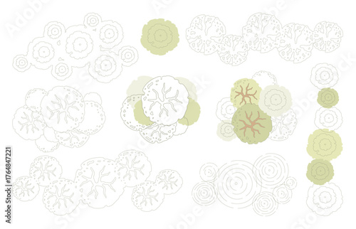 Tree for architectural floor plans. Entourage design. Various trees, bushes, and shrubs, top view for the landscape design plan. Vector illustration.