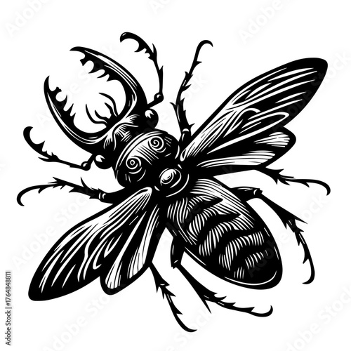 Detailed illustration of a stag beetle with open wings in a bold, black and white, woodcut style.