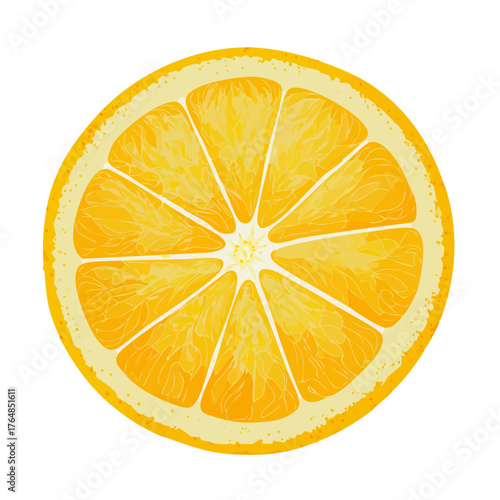 Orange Segments and Wedges Collection