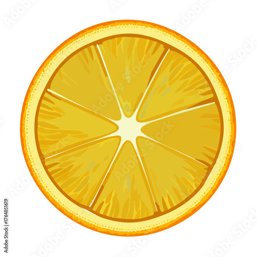 Whole and Half Orange Illustration Set