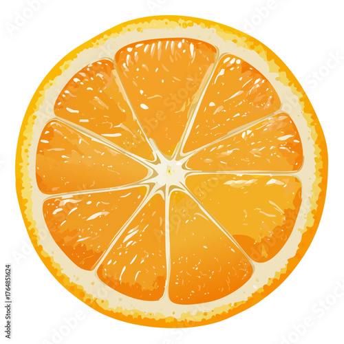 Orange with Green Leaves Botanical Vector