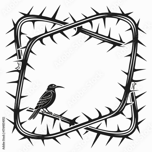 Black bird perched on a square frame of thorns