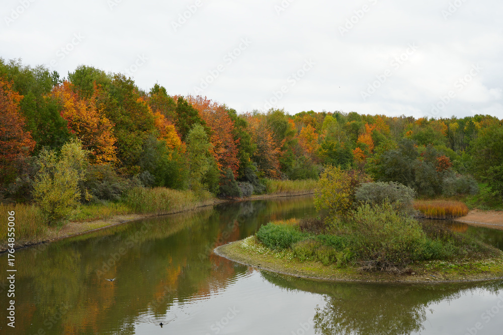 Fototapeta premium Vibrant Autumn Foliage Frames A Tranquil River Winding Through Silverhill Wood, Nottinghamshire, England, Reflecting Colorful Trees Under A Soft, Overcast Sky.