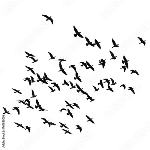 Wallpaper Mural Abstract texture with speckles and gradients for creative design transparent background Torontodigital.ca