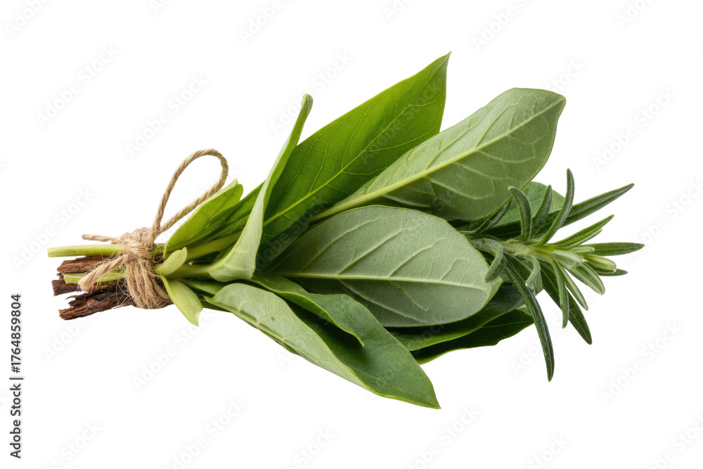 Obraz premium Aromatic culinary herbs, including bay leaves and rosemary, tied with twine, fresh and ready for cooking, set on a dark transparent background. background removed