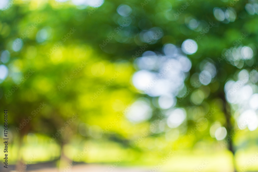 Obraz premium Green bokeh background from nature forest out of focus,Blur defocused park garden tree in nature background.