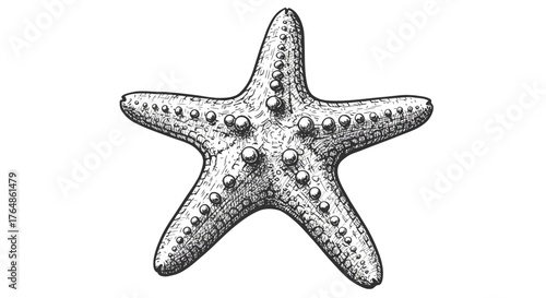 Intricate black and white starfish drawing with detailed patterns and texture