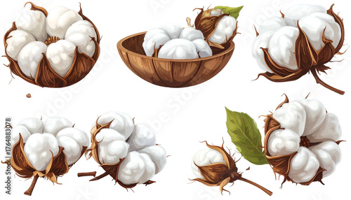 Vector illustration of various cotton bolls; fluffy white fibers in wooden bowl and open blooms