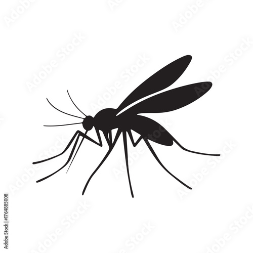 Mosquito silhouette icon on white background