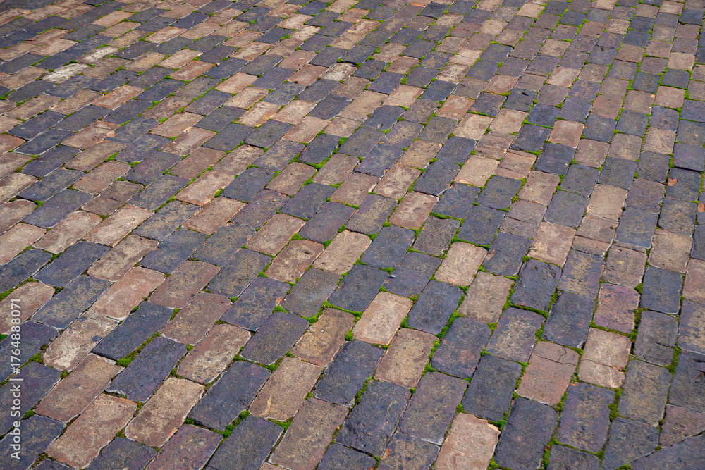 Fototapeta premium Old cobblestone pavement with moss growing between weathered bricks. Real photo.