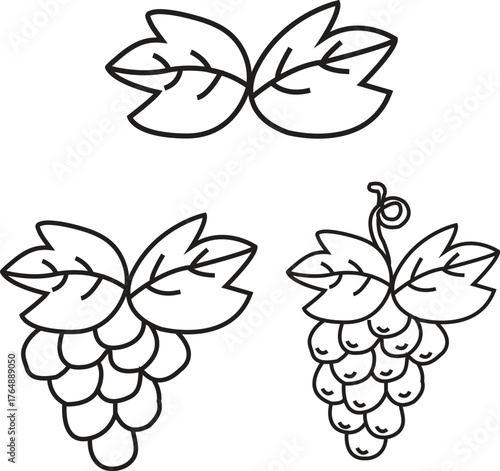 Minimalist Vector Line Art Icon Set of Grapes and Grape Leaves for Wine and Harvest Design