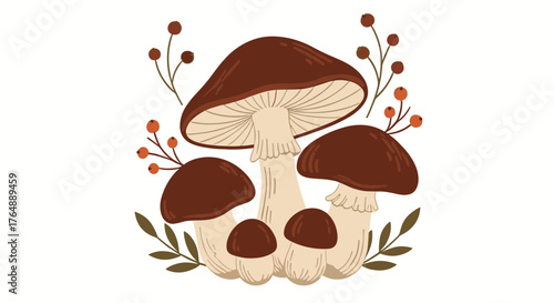 Beautiful illustration of mushrooms with brown caps and white stems.