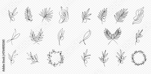 Elegant collection of hand-drawn line art botanical illustrations featuring various leaves, branches, and decorative wreaths on a transparent background.