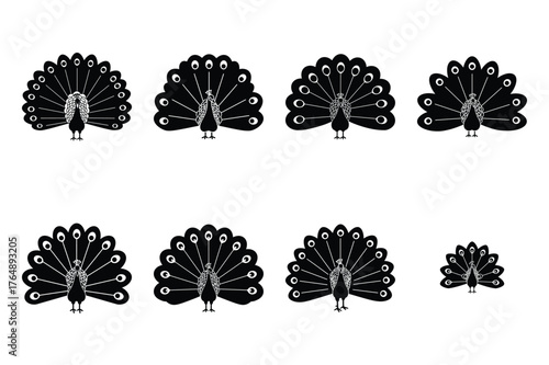 peacock spreading feathers  minimal silhouette vector icon set. animal  icon set.