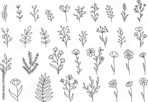 Ręcznie rysowana kolekcja kwiatów i liści.