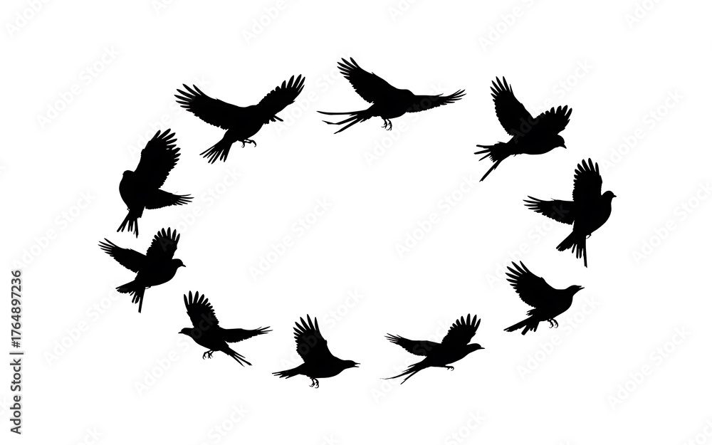 Fototapeta premium Birds flying in circle shape isolated on white background