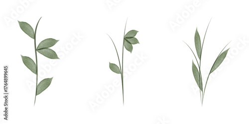 Three individual watercolor flower stems are depicted on a white background. Each stem is unique, varying in leaf structure and overall form, all featuring a gentle green hue.