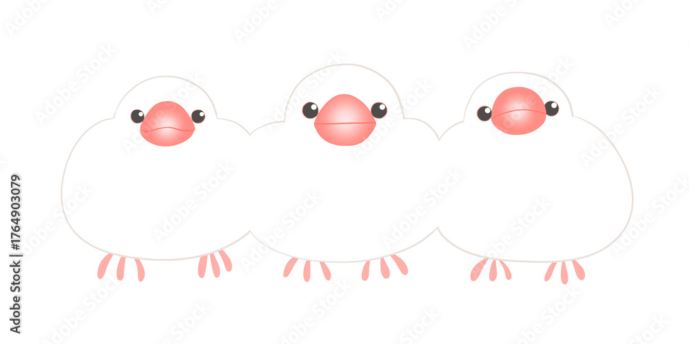 Obraz premium 白文鳥