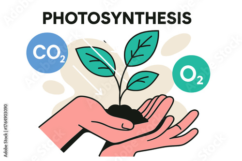 Photosynthesis in Action. Plant Growth Connection. Hands hold a sprouting plant as beams connect to leaves; ?Photosynthesis? hovers above light arrows.