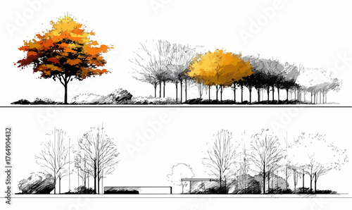 가을의 풍요로운 색채를 입은 나무와 섬세한 흑백 스케치가 대조적으로 어우러져 자연의 아름다움을 재해석한 현대적인 조경 디자인 컨셉을 시각적으로 표현한 벡터 아트입니다.