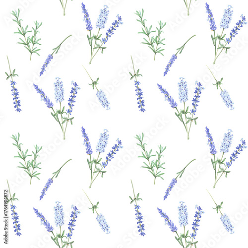 Obraz na plátně Lavender flower seamless pattern