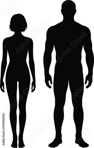 Man and woman full body silhouette illustration art vector image