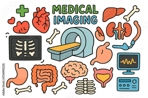 Colorful Medical Doodle. medical imaging. Colorful Hand-drawn doodle Children illustration medical imaging heart, lungs, liver, kidneys, stomach, intestines,