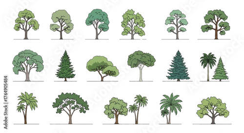 Hand-Drawn Vector Tree Elevation Pack – Botanical Outline Section Landscape Illustration