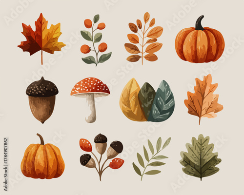 가을의 아름다움을 담은 수채화 일러스트로 단풍 낙엽 호박 도토리 버섯 등 다양한 자연 요소를 표현한 벡터 디자인