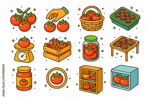 Tomato Harvest Icons. Tomato harvesting and storage. Colorful isometric vector icons set of Tomato harvesting and storage: ripe fruit cluster, hand-picking
