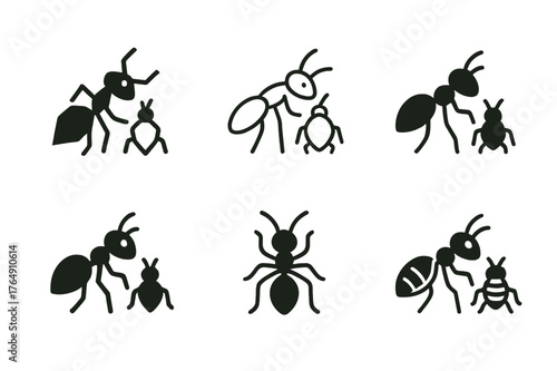 Animal Symbiosis Logos. Animal symbiosis. Set Logo of Animal symbiosis: Ants tending aphids. harmonious logo variations of the same emblematic concept, each
