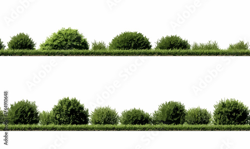 흰색 배경에 녹색 잎과 덤불이 있는 벡터 일러스트레이션으로 자연의 아름다움을 담아낸 그림입니다. 신선함과 평온함을 느낄 수 있습니다.