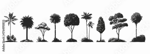 다양한 형태의 나무를 흑백으로 그린 벡터 일러스트레이션은 자연의 아름다움을 시각적으로 표현하며, 예술적인 감성을 자극합니다.